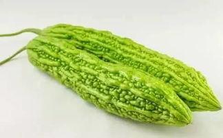 编织圈吃瓜,揭秘“吃瓜”背后的趣味与智慧