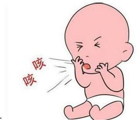 孩子咳嗽吃瓜圆行吗,传统美食的新用途