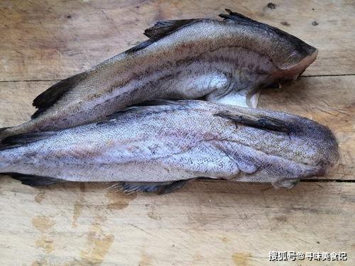 八瓜鱼吃缠人,一场跨越生死的美食奇缘