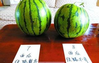 泰圈吃瓜pp,一场娱乐圈的狂欢盛宴