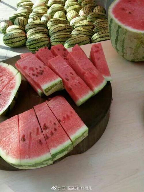 大迪成都吃瓜,揭秘网红美食背后的故事