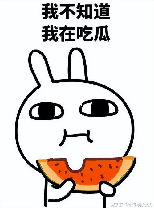 瓜瓜吃瓜人物,揭秘娱乐圈幕后风云人物