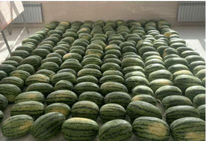 德宏最新吃瓜新闻,真相竟如此惊人！