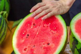 吃瓜盟主改名了吗,揭秘新名字背后的故事