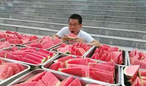 会宁吃瓜大赛,一场欢乐盛夏的全民狂欢盛宴