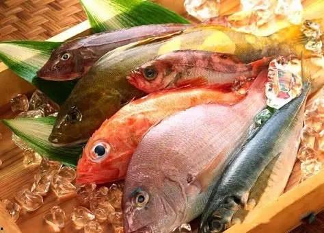 吃瓜看戏摸鱼鱼,揭秘网络时代的娱乐生活