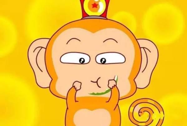 猴王吃瓜的视频,瓜果盛宴欢乐无限