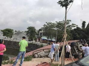 镇平公园吃瓜事件,一场引发热议的公共道德风波