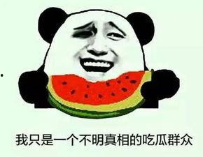 吃瓜吃的是自己,揭秘“吃瓜群众”的自我消化之旅  第2张