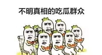 吃瓜群众看华为,揭秘科技巨头的崛起之路  第1张