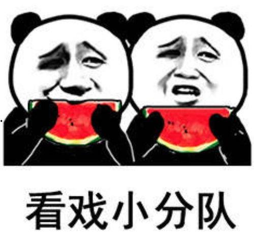 吃瓜还击表情包,表情包中的智慧反击  第2张