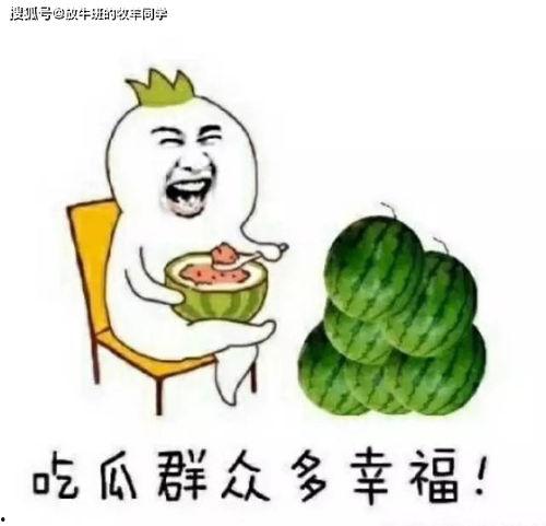 吃瓜定神打一数字,揭秘数字背后的奥秘 第1张 吃瓜定神打一数字,揭秘数字背后的奥秘 第1张