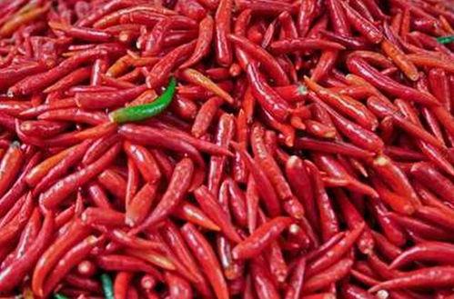 吃瓜小辣子  第1张