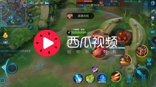 吃瓜视频背景配乐,揭秘吃瓜视频背后的音乐魅力 第2张 吃瓜视频背景配乐,揭秘吃瓜视频背后的音乐魅力 第2张