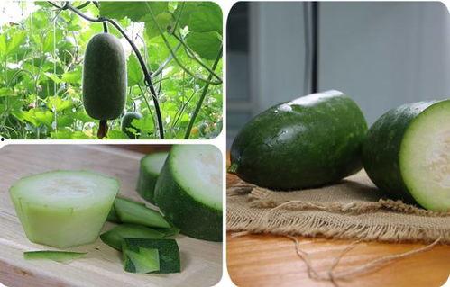 弥勒吃瓜为什么没人,揭秘佛祖的幽默一幕 第3张 弥勒吃瓜为什么没人,揭秘佛祖的幽默一幕 第3张