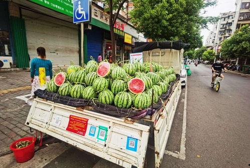群众排队吃瓜的视频,民众热情围观,共享夏日清凉时光 第1张 群众排队吃瓜的视频,民众热情围观,共享夏日清凉时光 第1张