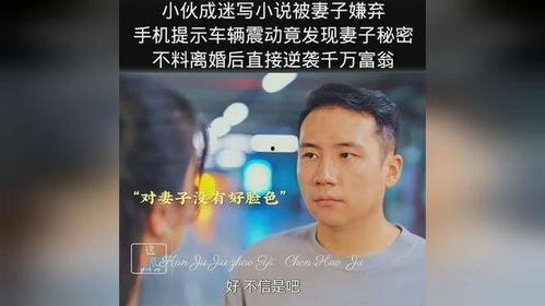 吃瓜吃到自己身上的翻译,一场意外的身份转变之旅  第3张