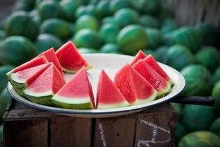 摆东西准备吃瓜,尽享悠闲夏日时光