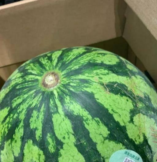 不吃真瓜吃假瓜,揭秘瓜果世界的奇幻之旅