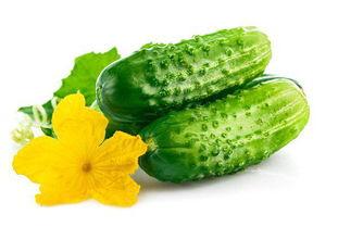 减肥高瓜可以吃吗,高瓜是否适宜食用？揭秘高瓜在减肥饮食中的角色