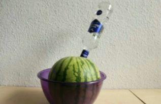 醉太平吃瓜,揭秘吃瓜群众的狂欢盛宴