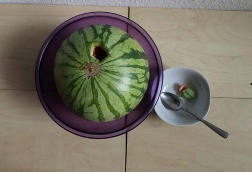 醉太平吃瓜,揭秘吃瓜群众的狂欢盛宴  第3张