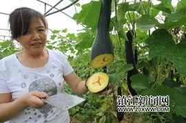 吃瓜砍人,揭秘娱乐圈背后的真实故事